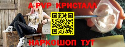 прущие крисы Донской